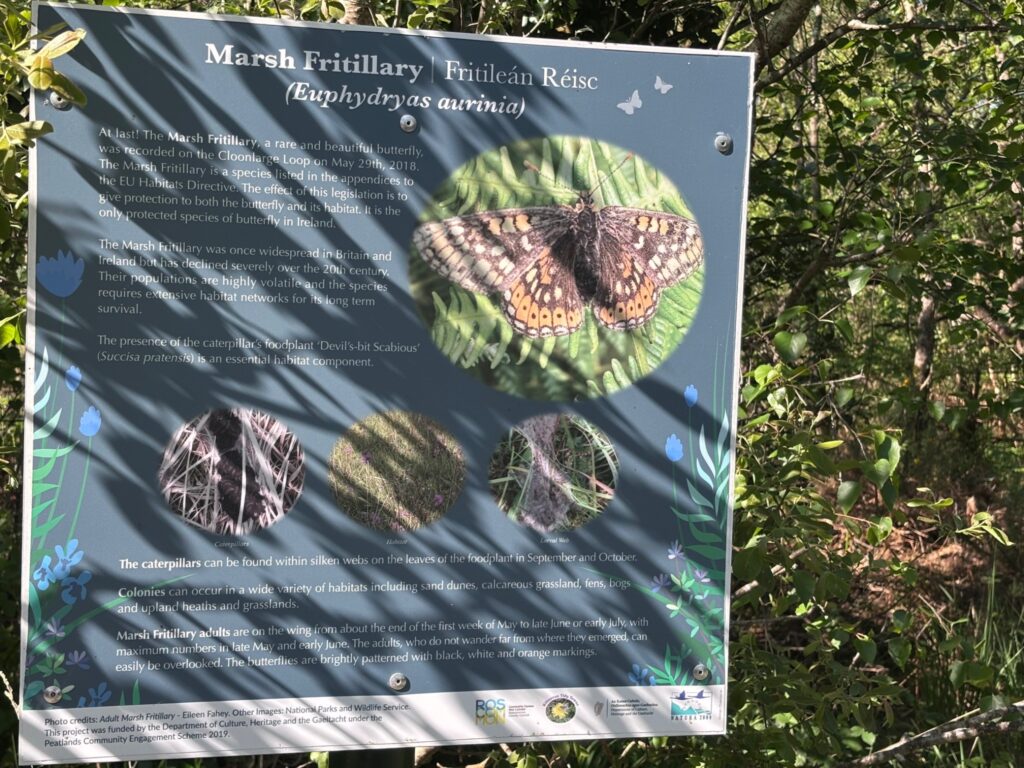 The butterfly trail on Cloonlarge Bog