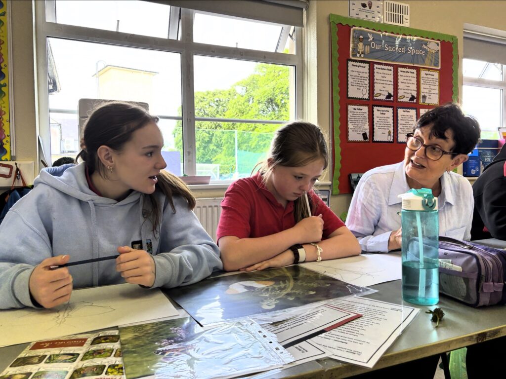 Eileen working on butterfly drawings side by side with pupils Niamh and Alannah