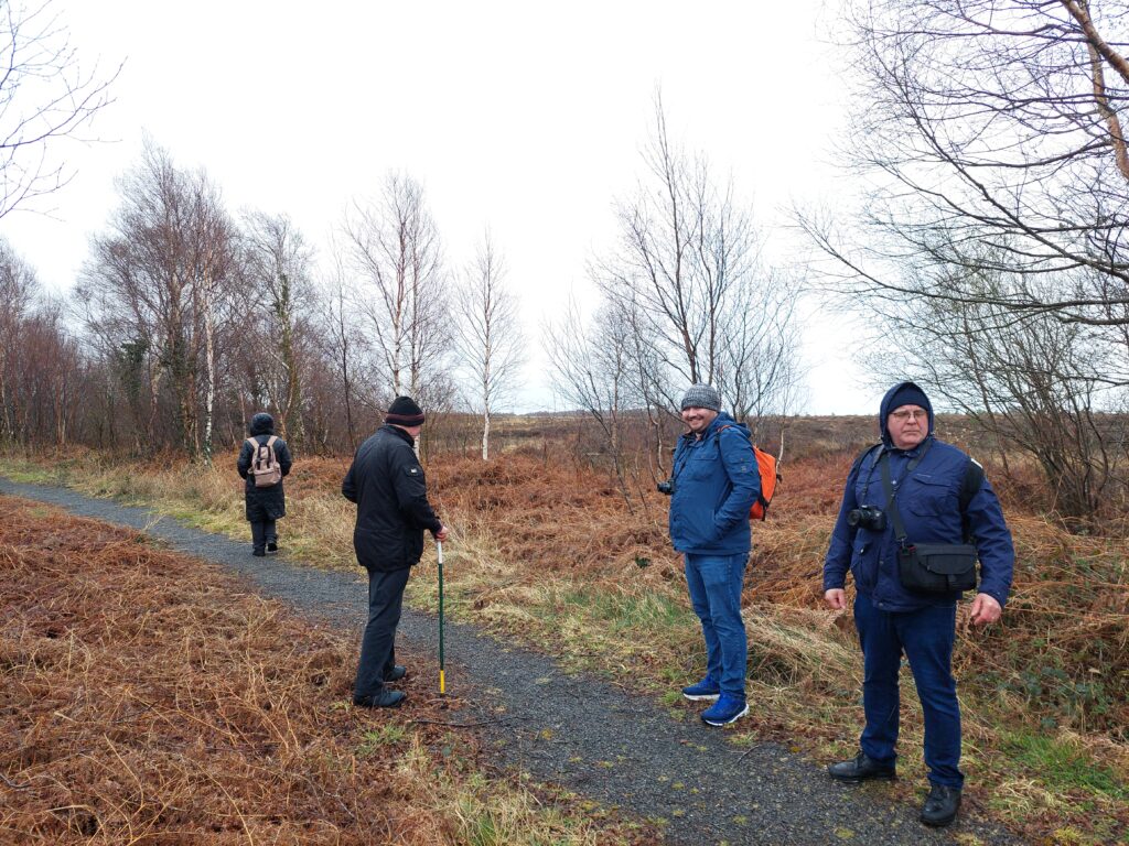 Four people hiking together on a nature trail