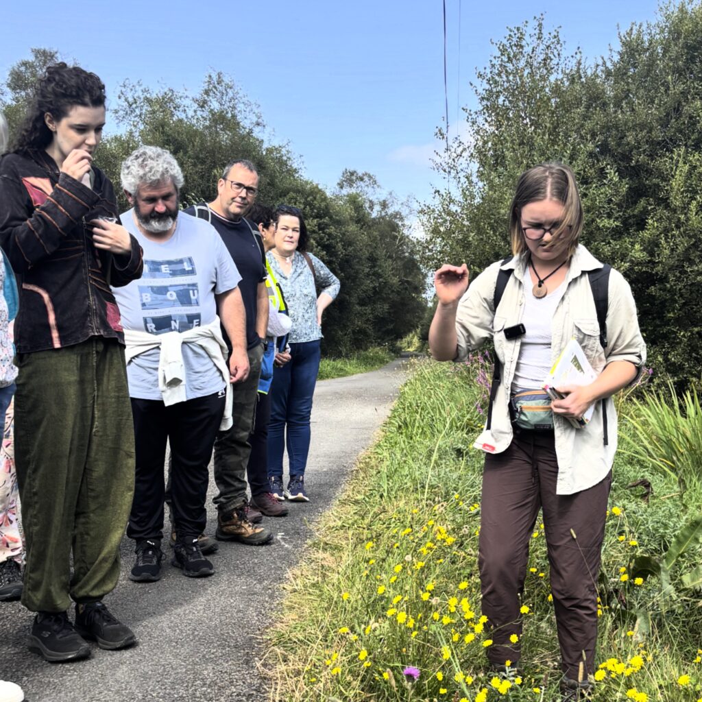 20250816_Kilteevan1 Katie Smirnova showing some of the group the wild flowers along the pathway and explaining which species like boggy landscapes and what happens what bogs are rewetted and the birds, insects and flora that can thrive