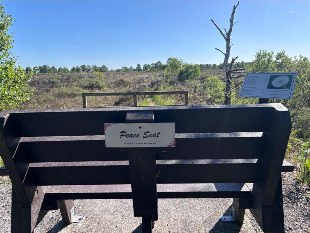 image8 Photo of the peace bench on the Old Bog Road