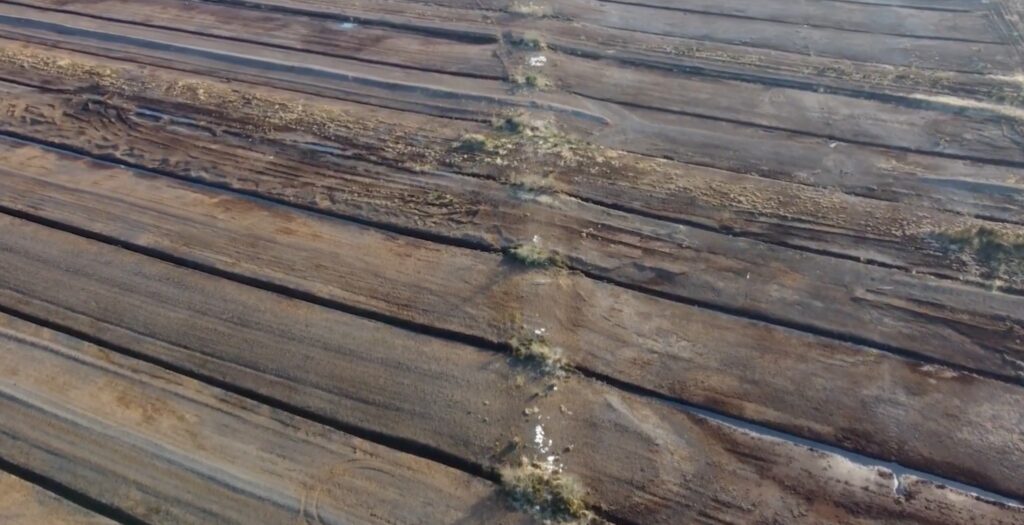 Photograph an ancient wooden track visible from Google Earth in Lemanaghan Bog. These tracks date back to 500-1000 AD.