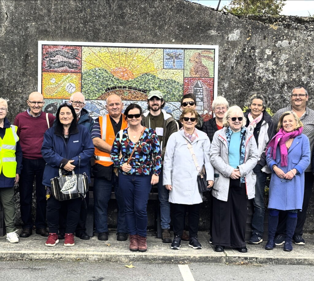 Photograph of the participants on the Hertiage Walk in Kilcormac at the recently installed mosaic at the old hand ball alley