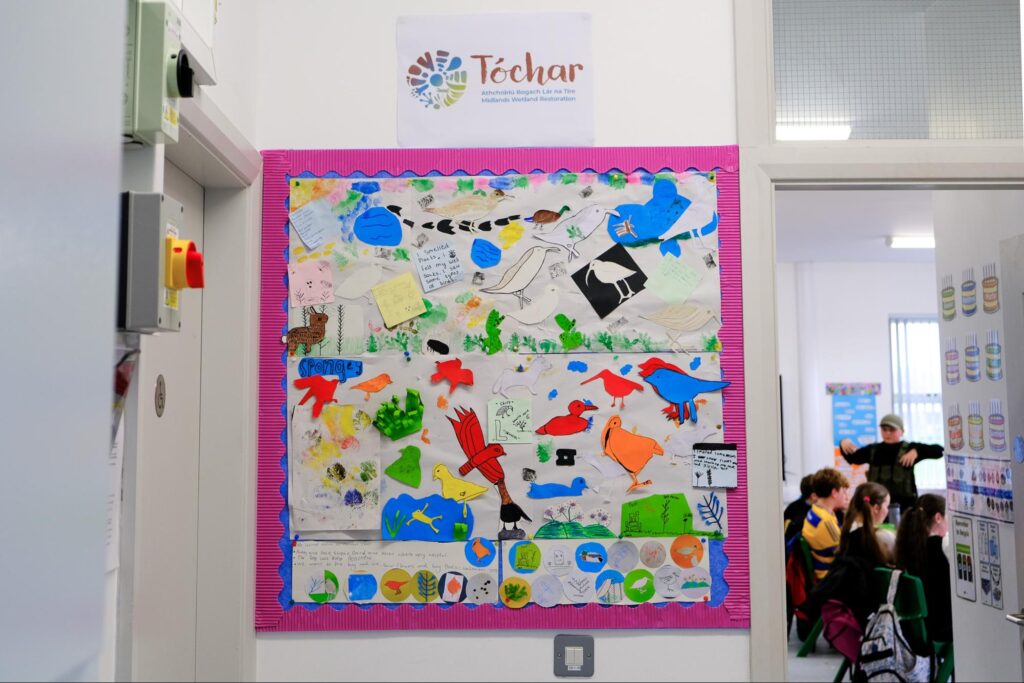 Photo of the Camcloon NS Children’s bog collage hanging in their classroom