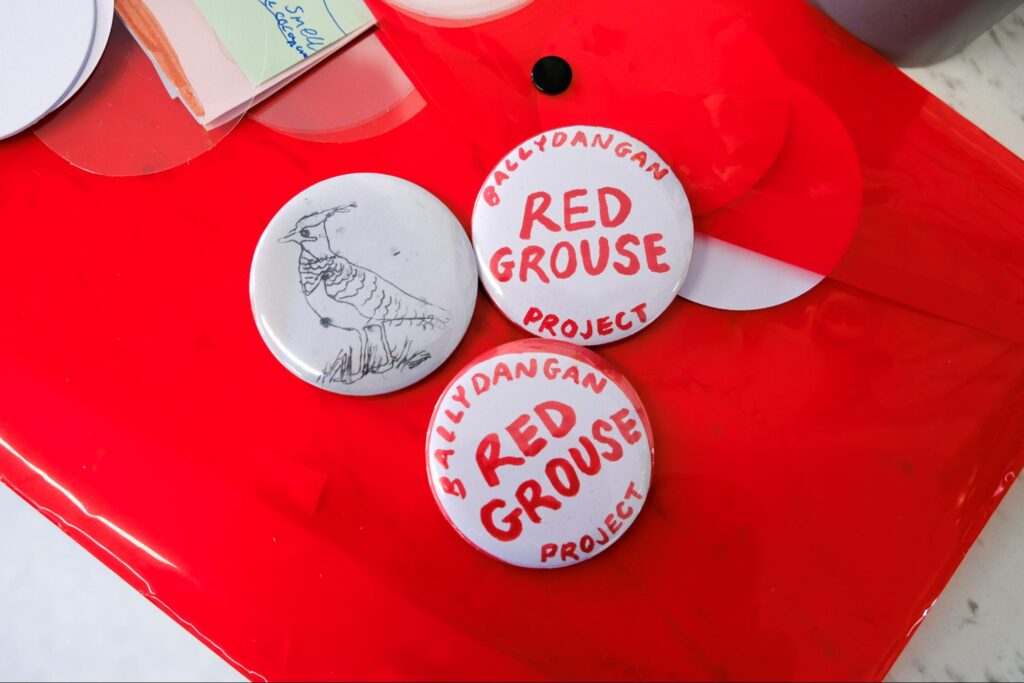Photo depicting children's artwork of Ballydangan Bog Red Grouse Project on badges.