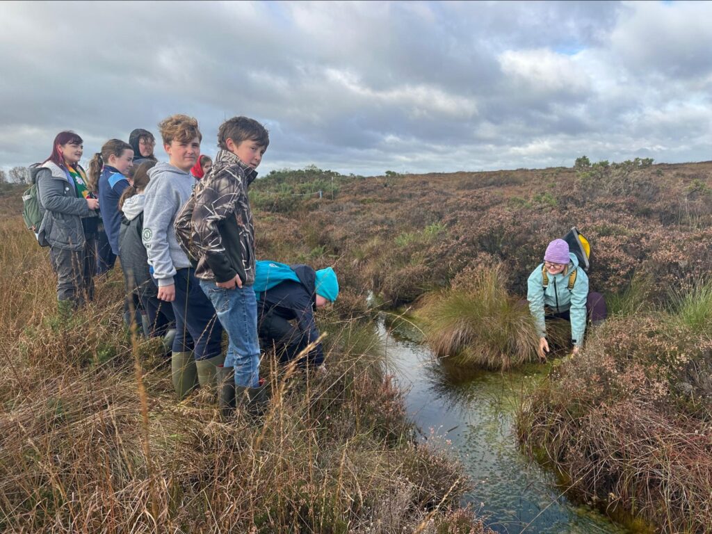 Photograph of Katie Smirnova guiding a Tóchar Stories bog nature exploration for local children on Ballydangan Bog