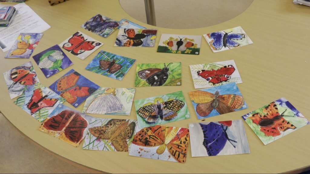 Photograph of the Kilteevan NS bog butterfly postcard series 