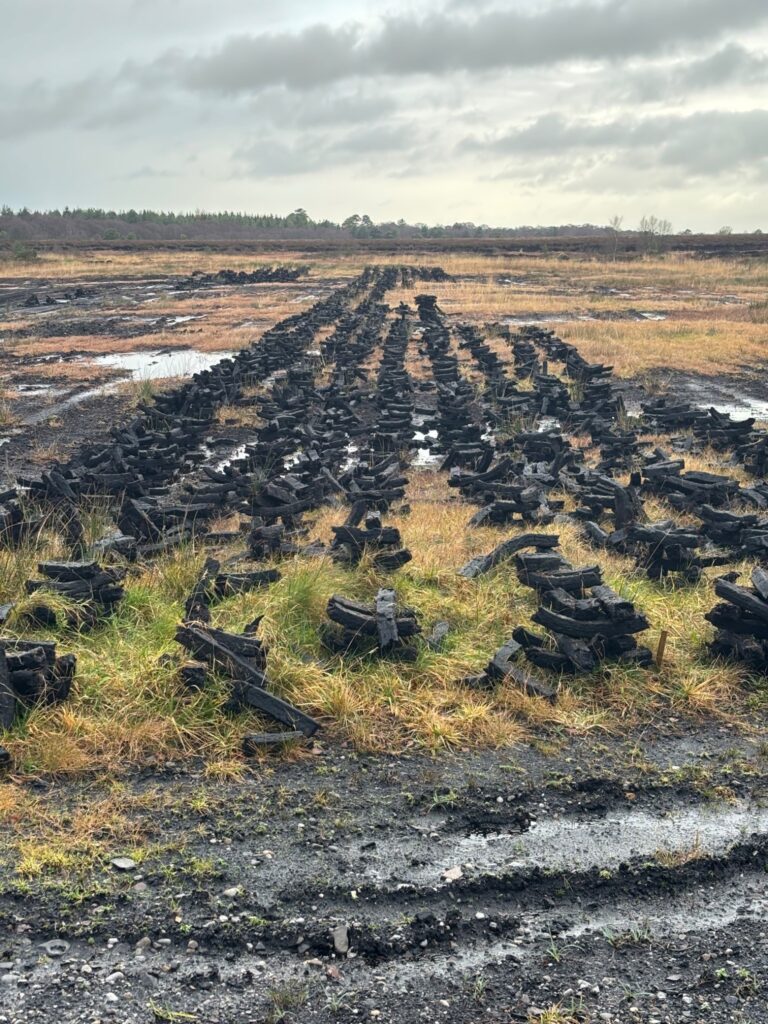 Photograph of Knockirr Bog with footed turf (photo Helen Shaw) 