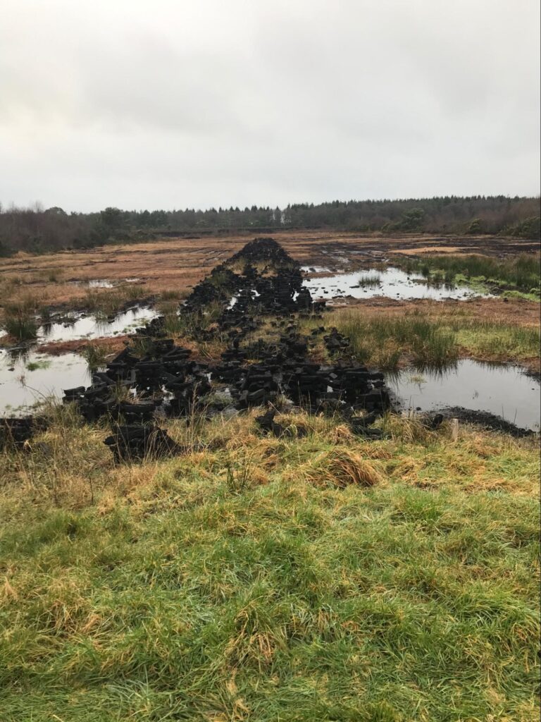 Photograph of part of the community cut over peatland at Knockirr Bog 