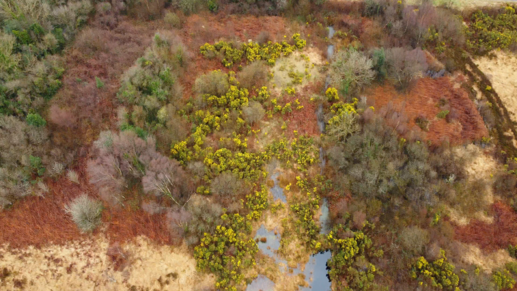 Aerial photograph of Carrownagappul Bog’s colours (credit drone shot Stephen Crilly)