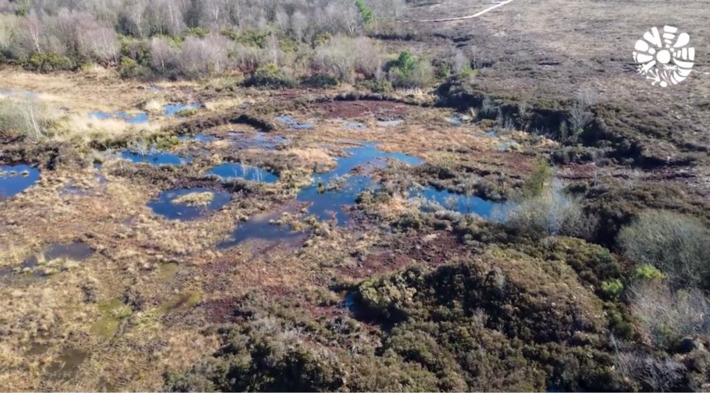 Birdseye photograph of Cloncrow Bog