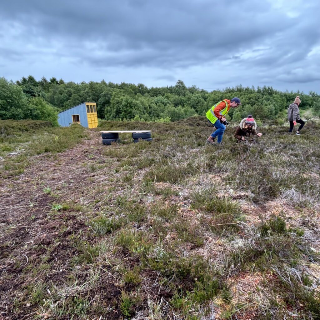 Landscape image with Bog Bothy in the background. Three people in the middle ground looking at plants on the bog and taking photos.