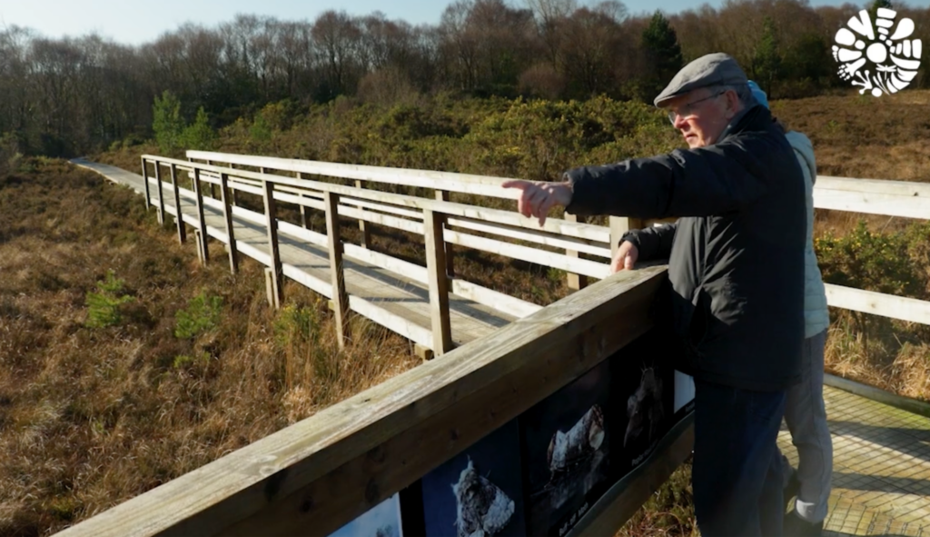 Eugene Dunbar standing on a boardwalk and pointing out the bog restoration work to Helen Shaw on Cloncrow Bog.