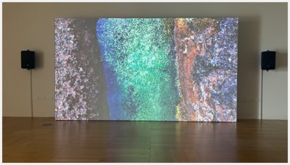 Image of the bog, of the ground, showing green moss against dark peat - projection on a wall in a gallery with speakers either side of it. 