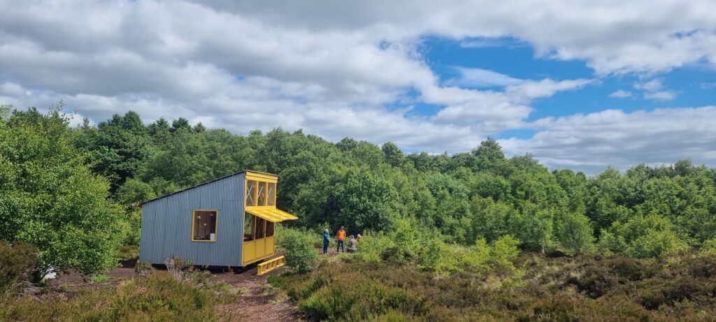 Photo of people sitting amongst tree in Milltownpass bog