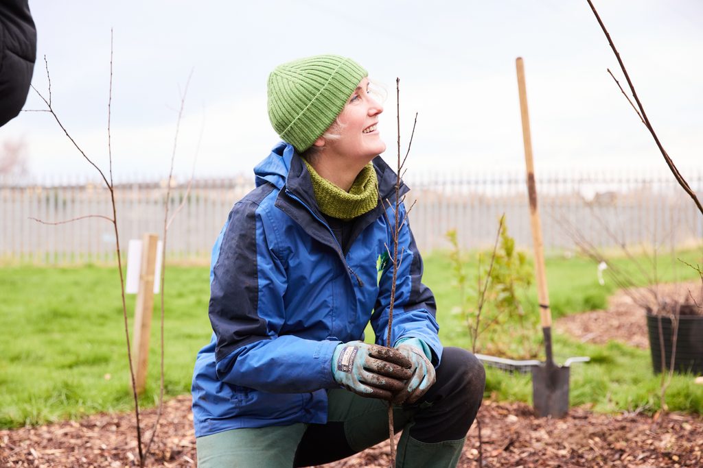 Woman planting a sapling